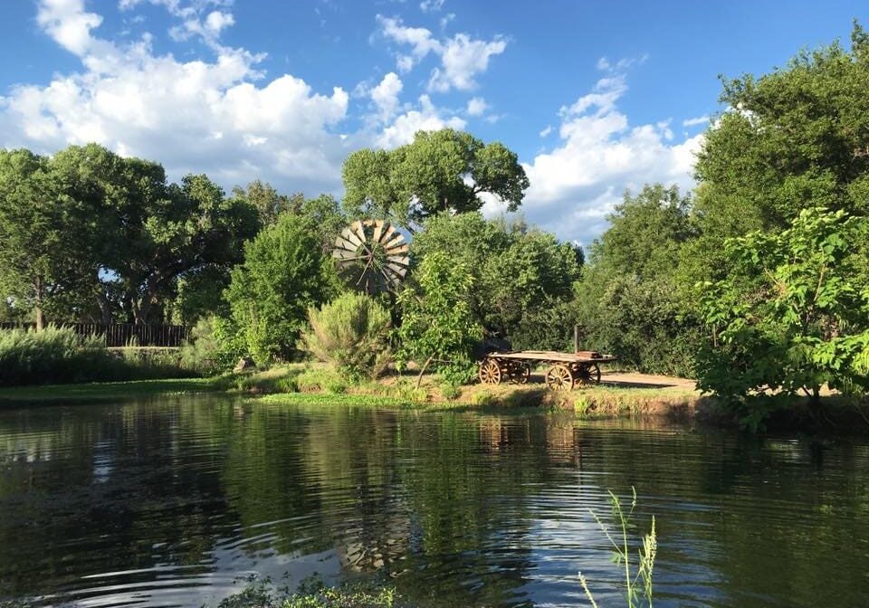 A lake with trees and grass in the background